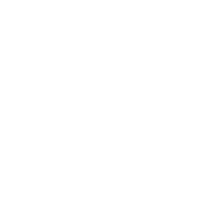 Mountain Lake Rally Icon