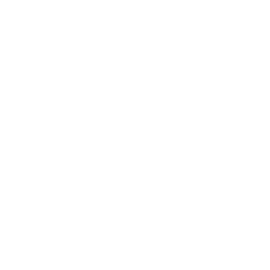 Lake View Rally Icon