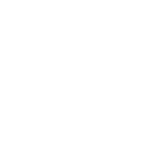 Skyway Spectacular Icon